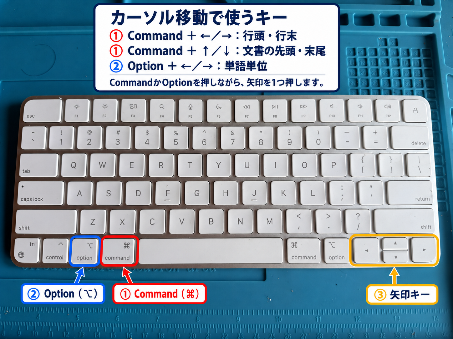 提供されたMac用キーボード写真への注釈。左Commandを赤い①、左Optionを青い②、右下の矢印キー4つを黄色い③で囲み、短い矢印とラベルで位置を示している